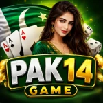 PAK14 Game